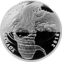 Stříbrná mince Vydra - Reflections of Wildlife 2016 Proof (.9999)
