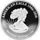Stříbrná mince The American Eagle 1 Oz 2016 Proof