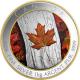 Strieborná kolorovaná minca 1 Kg Maple Leaf Forever 2016 Proof (.9999)