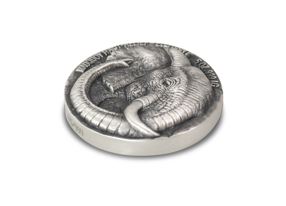 Stříbrná mince 5 Oz Slon The African Big Five High Relief 2017 Antique Standard