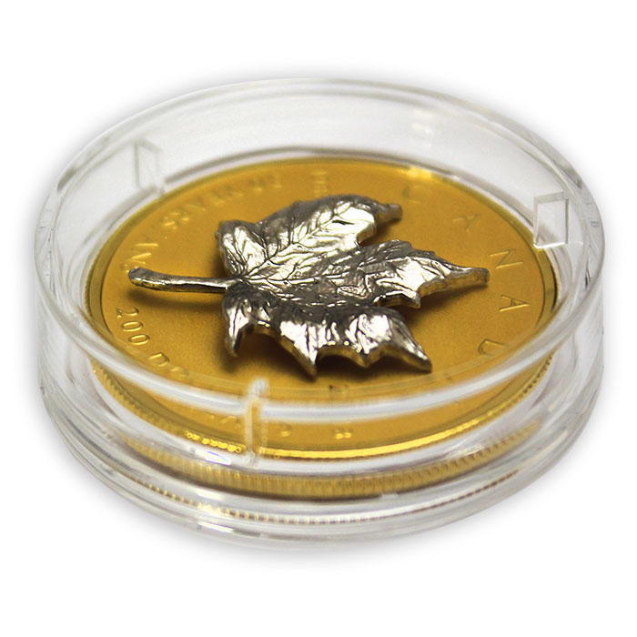Zlatá mince 3D stříbrný Maple Leaf 1 Oz - 30. výročí 2018 Proof