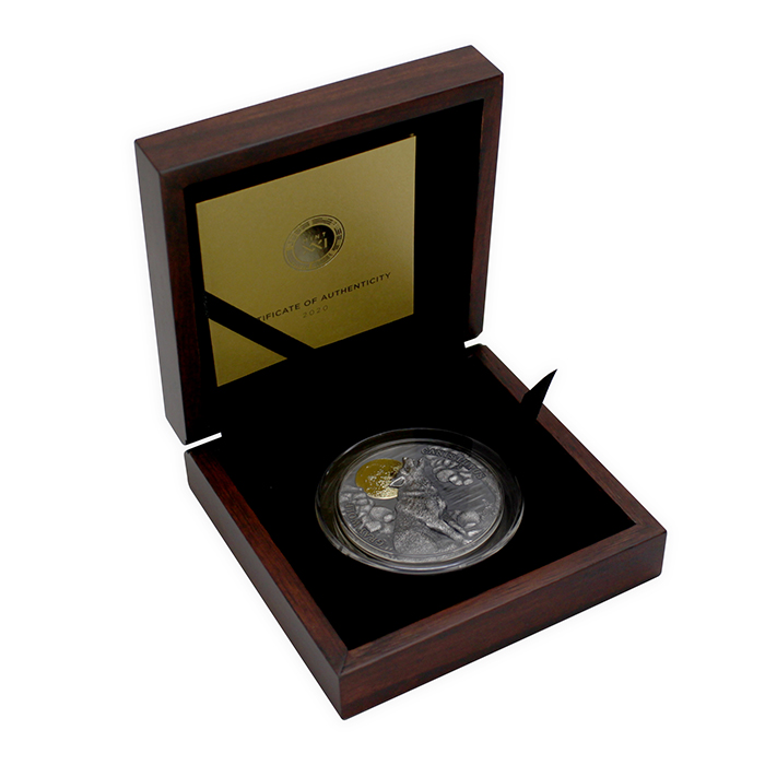 Strieborná pozlátená minca 2 Oz Vlk sivý 2020 Antique Standard