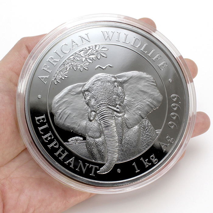 Stříbrná investiční mince Slon africký Somálsko 1 Kg 2021