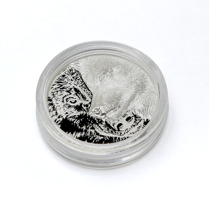 Stříbrná mince Mystický vlk 1 Oz 2021 Proof