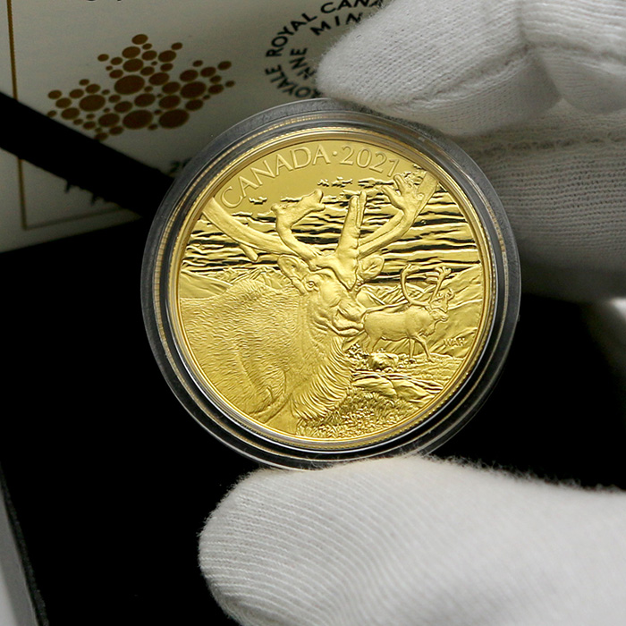 Zlatá mince Karibu 2021 Proof (.99999)