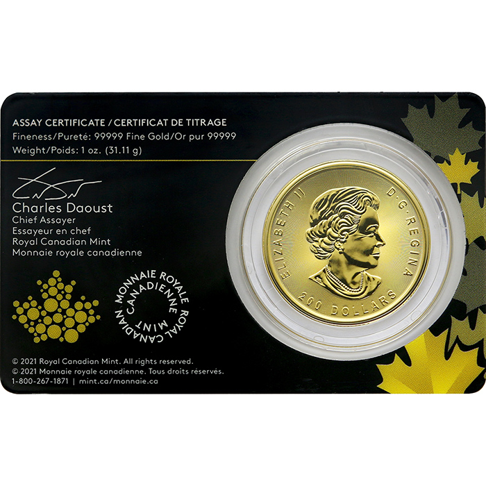 Zlatá investičná minca Zlatá horúčka na Klondiku - Ryžovanie zlata 1 Oz 2021 (.99999)