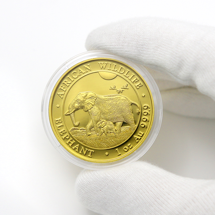 Zlatá investiční mince Slon africký Somálsko 1 Oz 2022