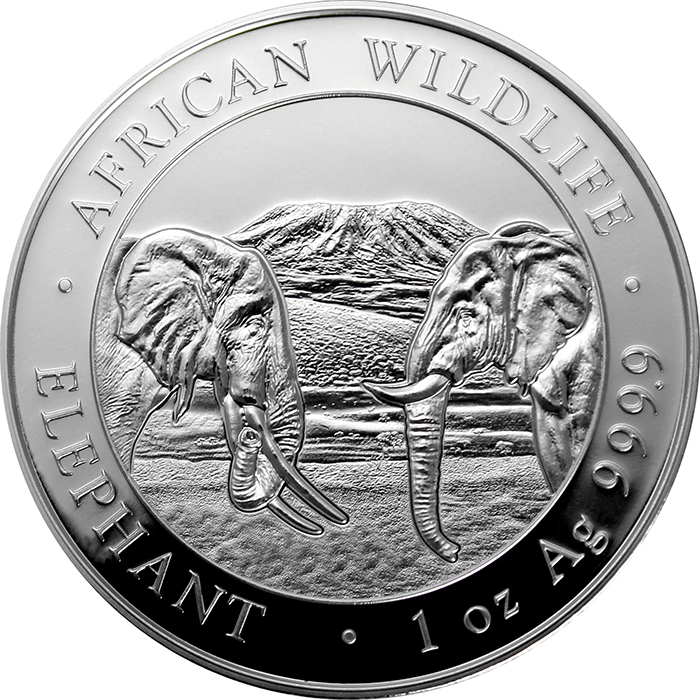 Stříbrná investiční mince Slon africký Somálsko 1 Oz 2020