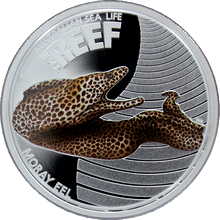Strieborná minca Muréna Australian Sea Life I. 2010 Proof