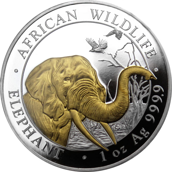 Strieborná minca pozlátený Slon africký 1 Oz Proof