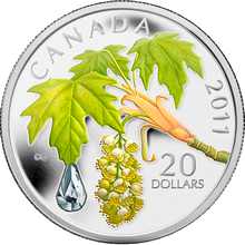 Stříbrná mince Dešťová kapka Maple Leaf 2011 Proof