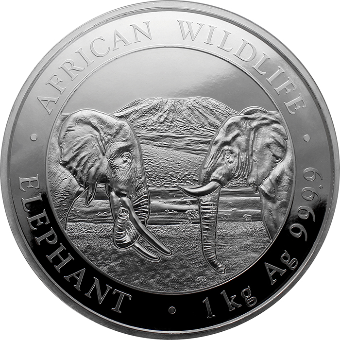 Přední strana Stříbrná investiční mince Slon africký Somálsko 1 Kg 2020