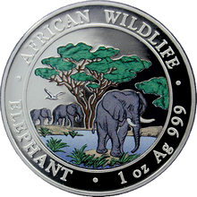 Strieborná minca kolorovaný slon africký 1 Oz Proof