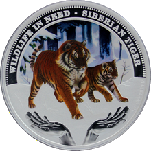 Stříbrná mince kolorovaný Sibiřský Tygr Wildlife in Need 1 Oz 2012 Proof