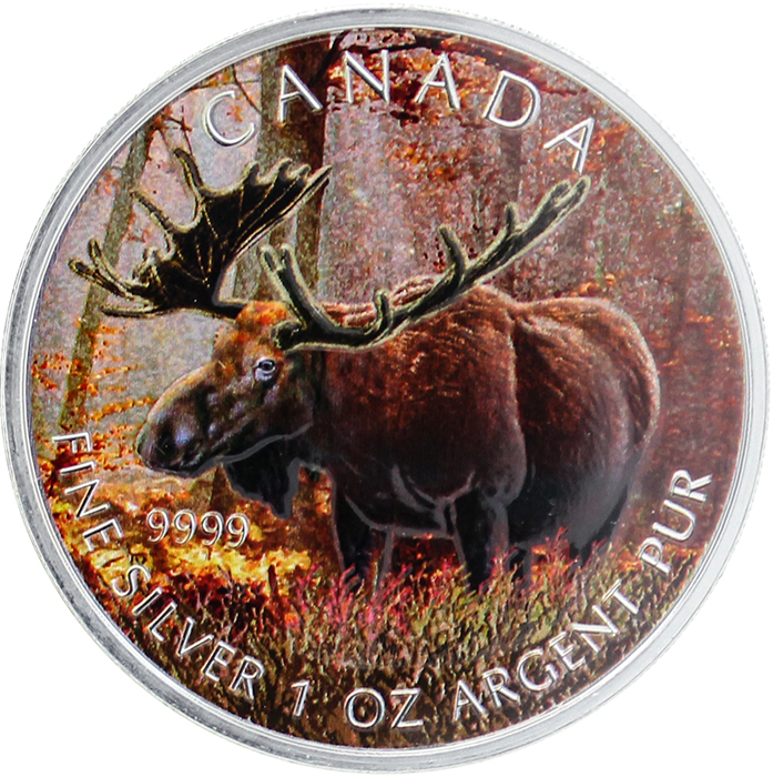 Stříbrná mince kolorovaný Los Canadian Wildlife 1 Oz 2012 Standard