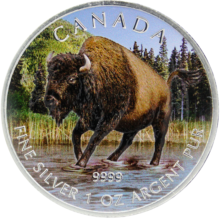 Stříbrná mince kolorovaný Bizon lesní Canadian Wildlife 1 Oz 2013 Standard