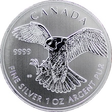 Přední strana Strieborná investičná minca Sokol sťahovavý  Birds of Prey 1 Oz 2014