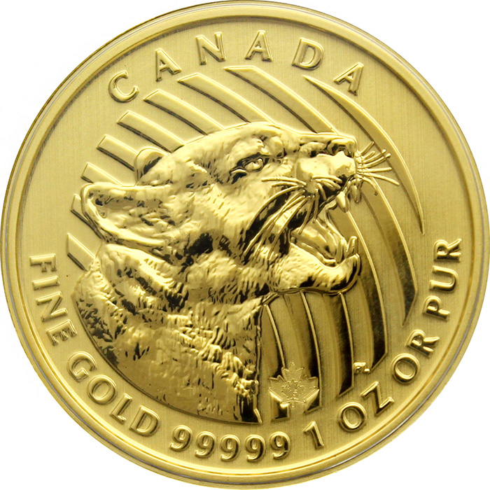 Přední strana Zlatá investiční mince Growling Cougar 1 Oz 2015 (.99999)