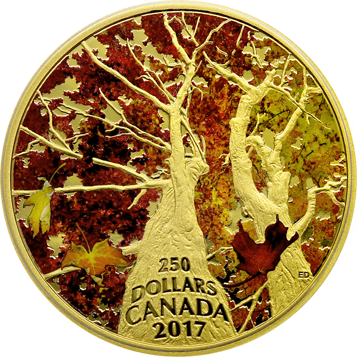 Zlatá minca 2 Oz Klenba javoru: Kaleidoskop bariev 2017 Proof