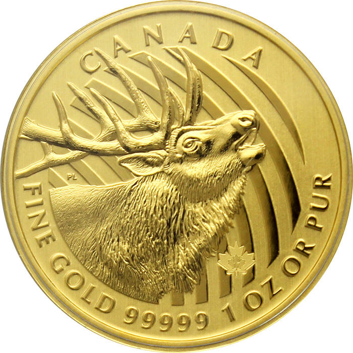 Zlatá investiční mince Elk 1 Oz 2017 (.99999)
