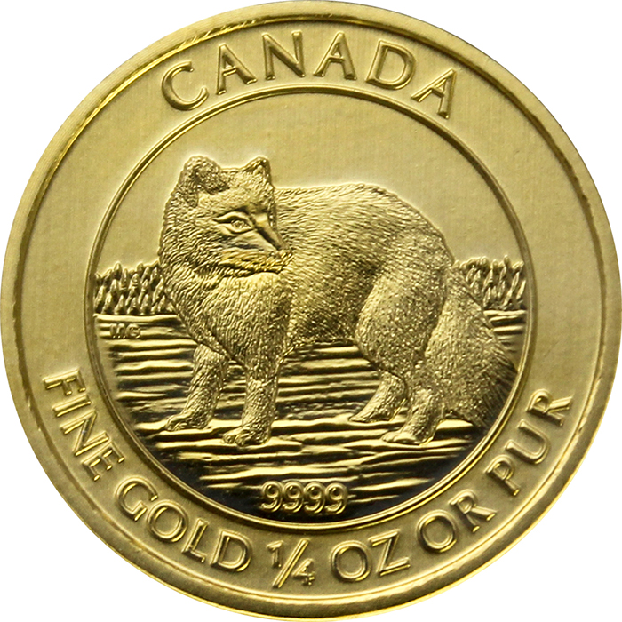 Přední strana Zlatá investičná minca Arctic Fox 1/4 Oz 2014