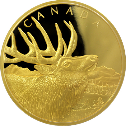 Přední strana Zlatá minca Elk 500g 2017 Proof