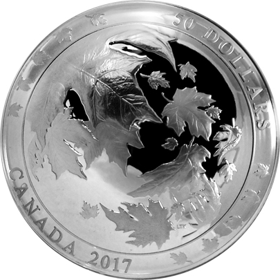 Přední strana Stříbrná mince 5 Oz Maple Leaves in Motion 2017 Proof (.9999)