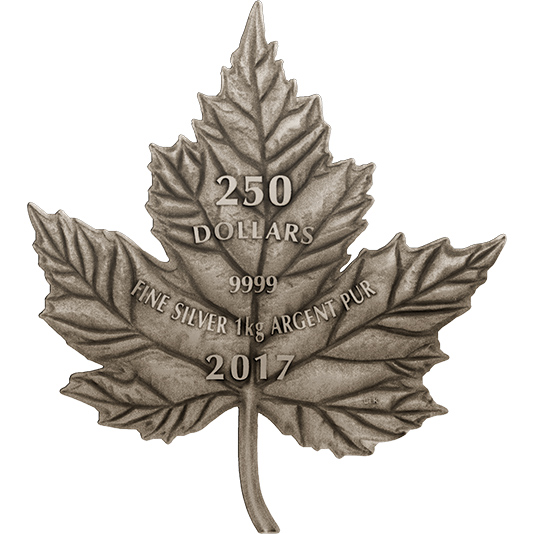Strieborná minca 1 Kg Maple Leaf Forever 2017 Antique Standard