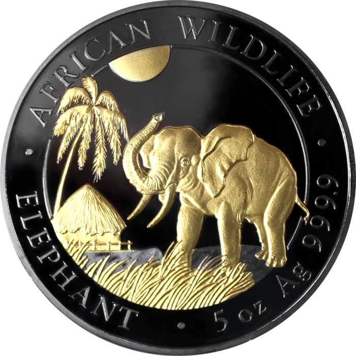 Přední strana Stříbrná Ruthenium mince pozlacený Slon africký 5 Oz Golden Enigma 2017 Proof