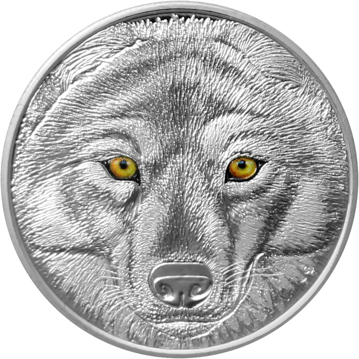 Přední strana Strieborná minca očami vlka kanadského 2017 Proof