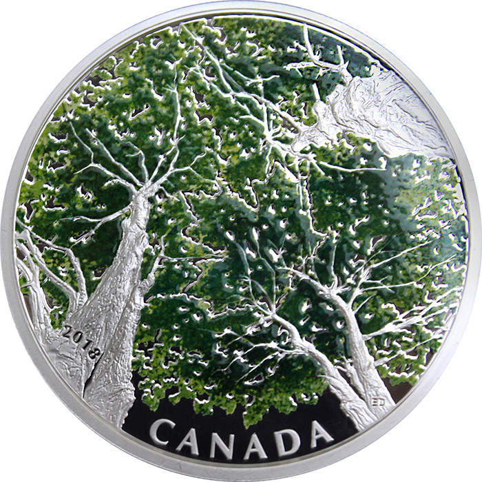 Stříbrná mince 2 Oz Kanadská klenba - Maple Leaf 2018 Proof
