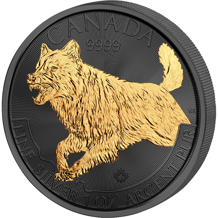 Stříbrná mince pozlacený Vlk 1 Oz Golden Enigma 2018 Standard
