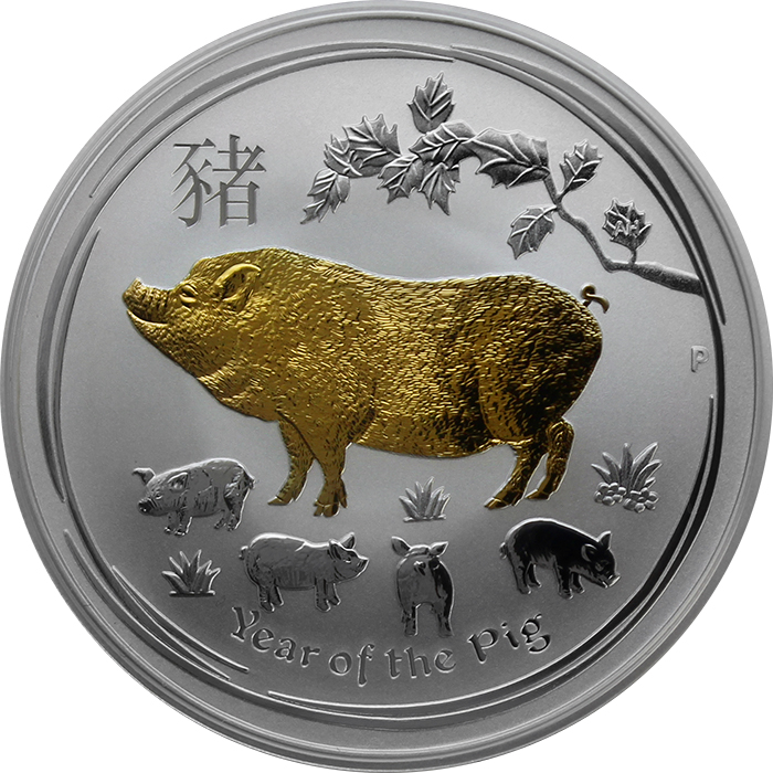 Strieborná minca pozlátený Year of the Pig Rok Prasaťa Lunárny 1 Oz 2019 Standard