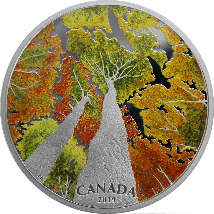 Stříbrná mince 2 Oz Kanadská klenba - The Canada Goose 2019 Proof