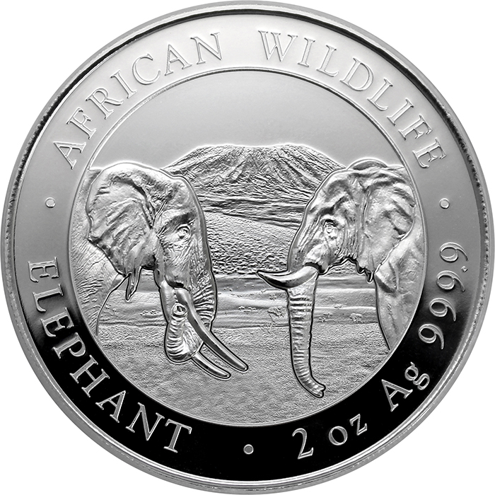 Stříbrná investiční mince Slon africký Somálsko 2 Oz