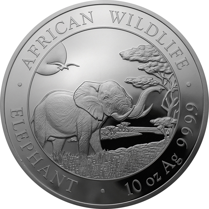 St brn  investin  mince Slon africk  Som lsko  10 Oz