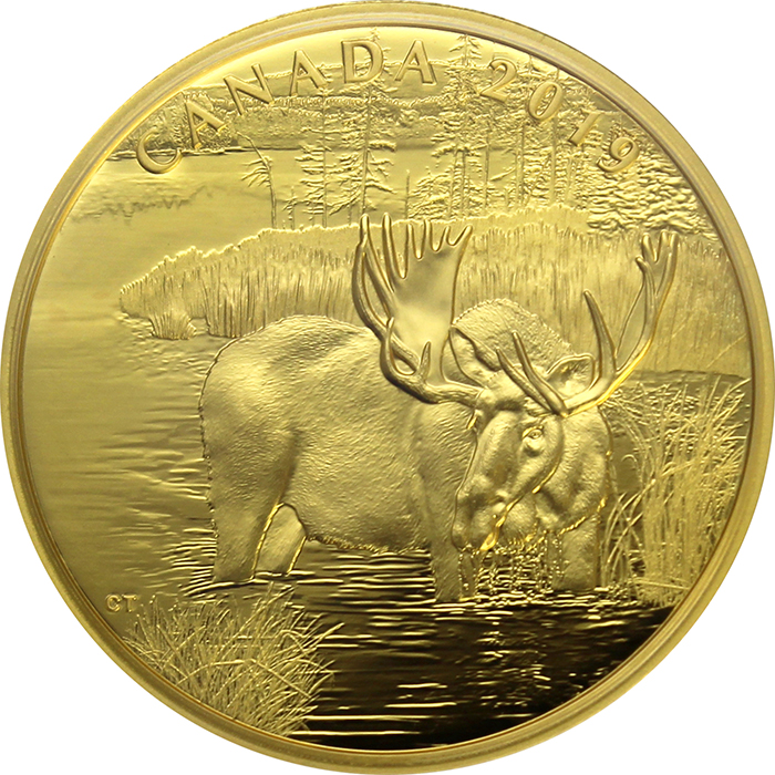 Přední strana Zlatá mince Los kanadský 1 Oz 2019 Proof