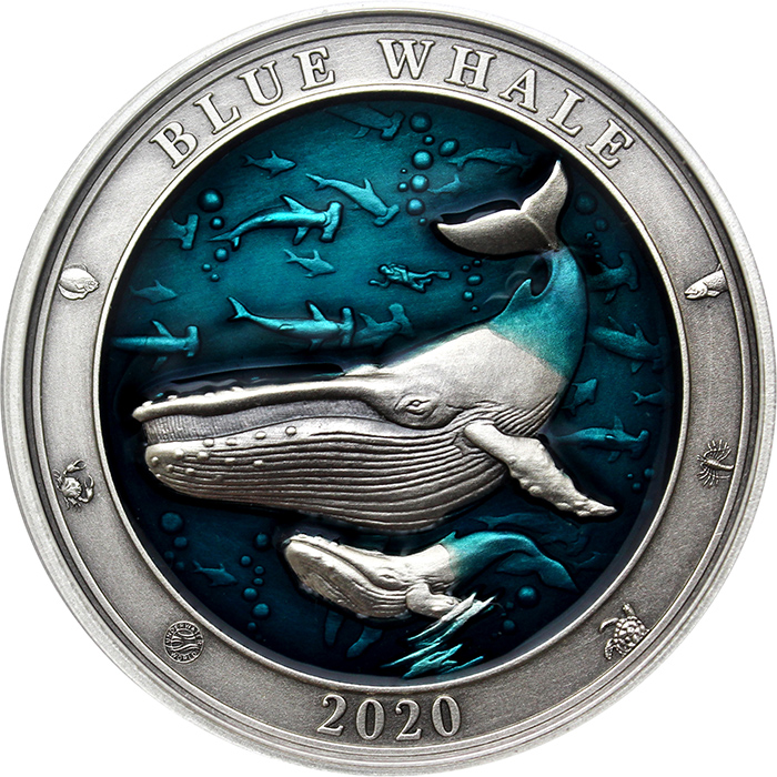 Strieborná minca 3 Oz Podmorský svet - Vráskavec obrovský 2020 Antique Standard
