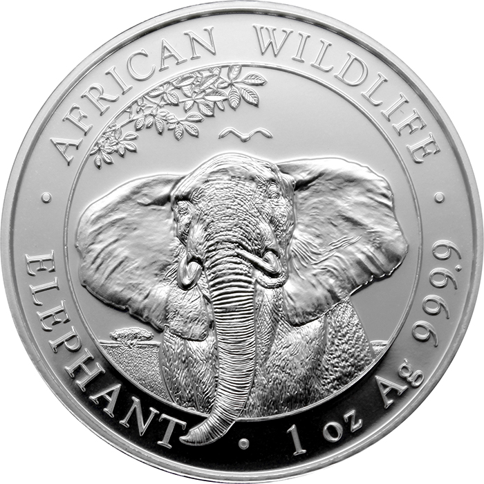Stříbrná investiční mince Slon africký Somálsko 1 Oz 2021