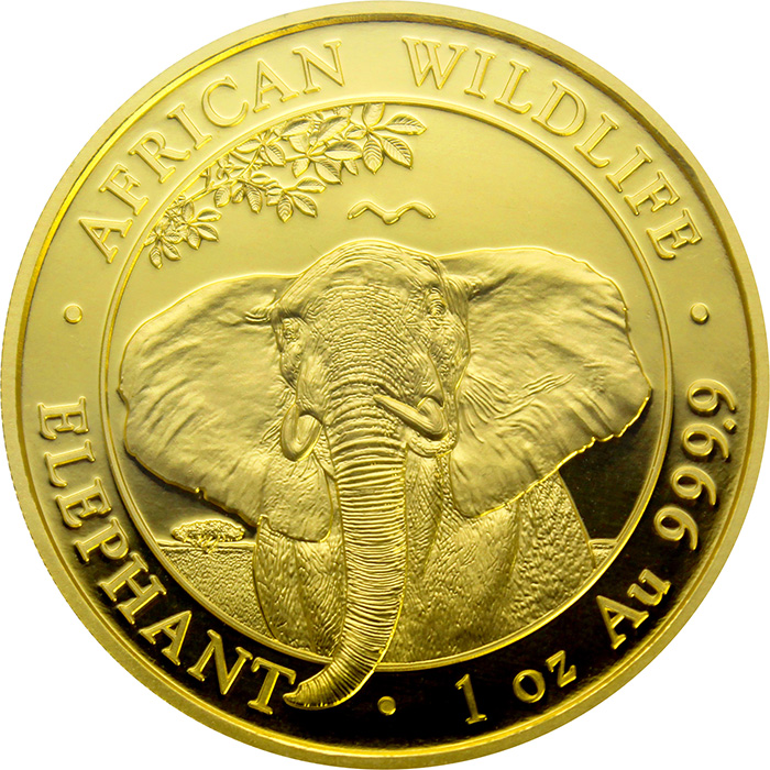 Zlatá investiční mince Slon africký Somálsko 1 Oz 2021