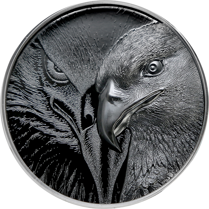 Stříbrná mince Majestátní orel 2 Oz 2021 Proof