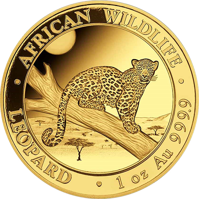 Zlatá investiční mince Leopard Somálsko 1 Oz 2021