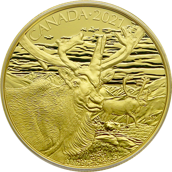 Zlatá minca Karibu 2021 Proof (.99999)