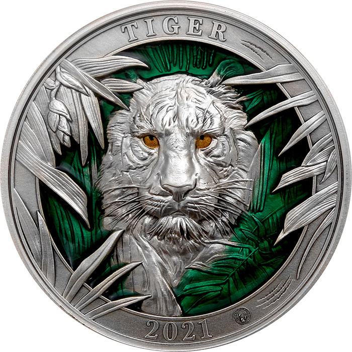 Stříbrná mince 3 Oz Barvy divočiny - Tygr 2021 Antique Standard