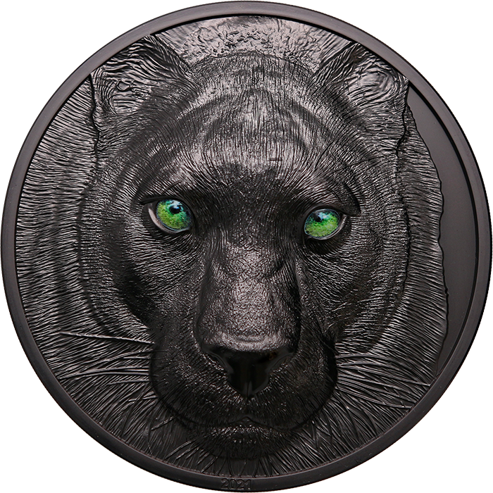 Strieborná minca 1 kg Lovci v noci - Čierny panter Ultra High Relief 2021 Proof