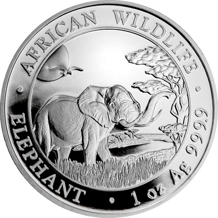 Stříbrná investiční mince Slon africký Somálsko 1 Oz 2019