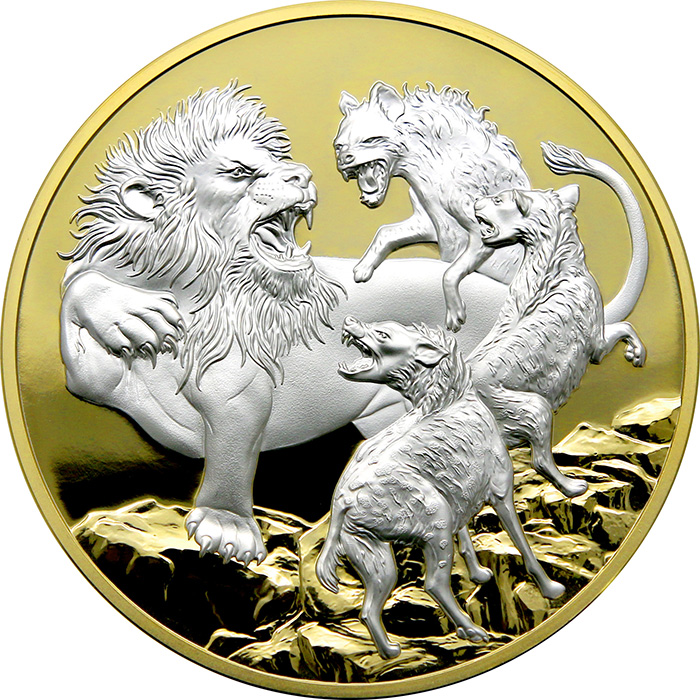 Přední strana Strieborná pozlátená minca 5 Oz Apex Predators - Lev verzus hyena 2022 Proof