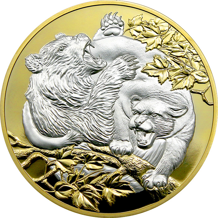 Přední strana Stříbrná pozlacená mince 5 Oz Apex Predators - Puma versus medvěd 2022 Proof
