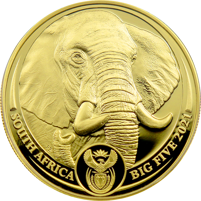 Přední strana Zlatá minca Big Five II. Slon africký 1 Oz 2021 Proof