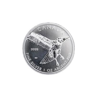 Přední strana Stříbrná investiční mince Káně rudoocasá Birds of Prey 1 Oz 2015